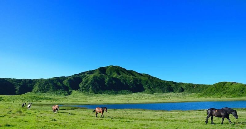 Kumamoto Departure Aso Area Chartered Car Day Tour | Kumamoto Castle | Mount Aso Crater | Kusasenri | Kamishikimi Kumanoza Shrine | Shirakawa Spring Source | Aso Shrine | Daikanbo | Nabe Falls | Kurokawa Onsen, etc. - Mount Aso and Kusasenri are natural partners