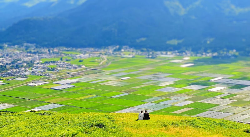 Kumamoto Departure Aso Area Chartered Car Day Tour | Kumamoto Castle | Mount Aso Crater | Kusasenri | Kamishikimi Kumanoza Shrine | Shirakawa Spring Source | Aso Shrine | Daikanbo | Nabe Falls | Kurokawa Onsen, etc. - Kamishikimi, Shirakawa Spring, and Aso Shrine add variety