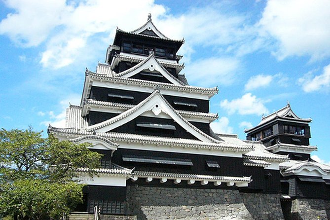 Kumamoto Full-Day Private Tour With Government-Licensed Guide - Private Vehicle Booking and Capacity