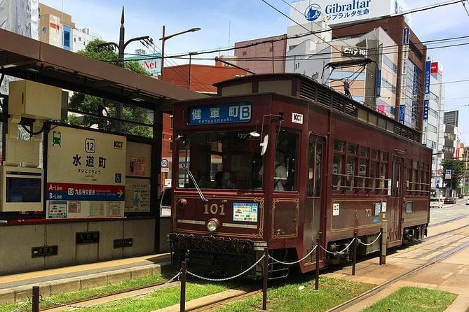 Kumamoto Half-Day Private Tour With Government-Licensed Guide - Tour Details