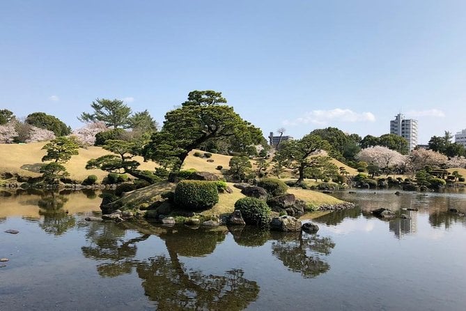Kumamoto Half-Day Private Tour With Government-Licensed Guide - Pricing, Copyright, Terms & Conditions