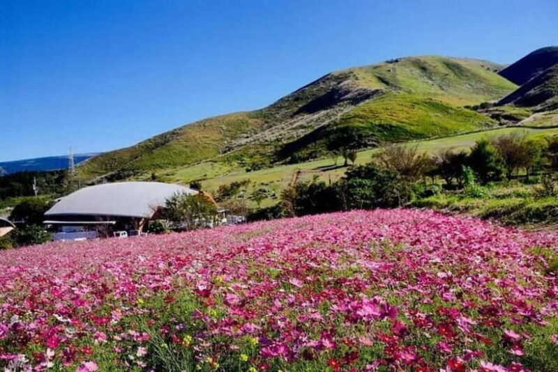 Kumamoto Iconic Statues World of Pirates Adventure Tour - Good To Know