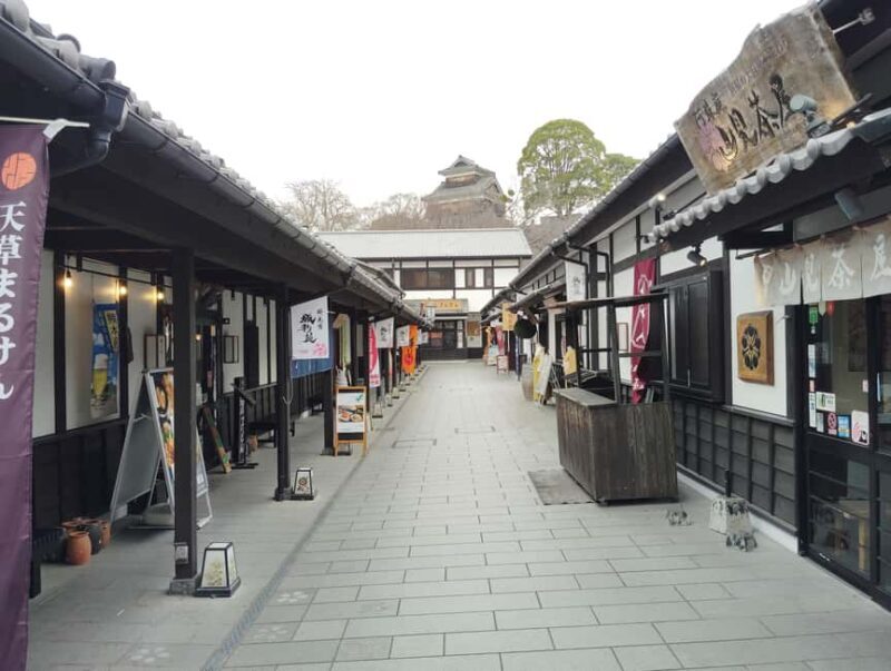 Kumamoto: Kumamoto Castle, Kato Shrine, & Museum Tour 3h - What to Expect During the Tour