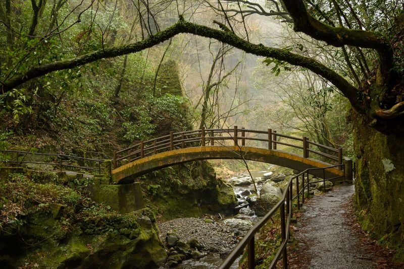 Kumamoto Mt. Aso, Kusasenri & Takachiho or Kurokawa from Fukuoka - Kurokawa Onsen: a slower finish in the colder months