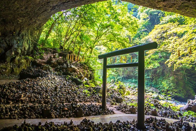 Kumamoto Mt. Aso, Kusasenri & Takachiho or Kurokawa from Fukuoka - Takachiho and Amanoiwato: the year-round alternative