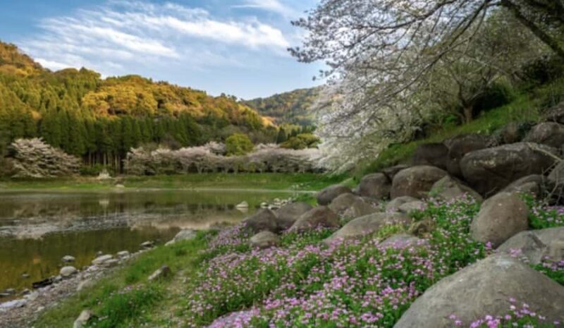 Kumamoto: Samurai Heritage Private Tour with Local Guide - Exploring the Kumamoto Castle