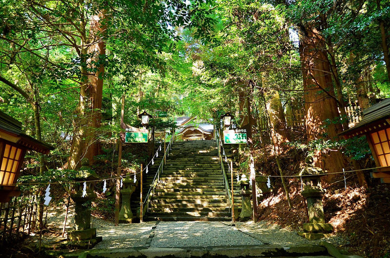 Kumamoto Takachiho Gorge & Mt Aso Day Tour - Is $63.09 good value?