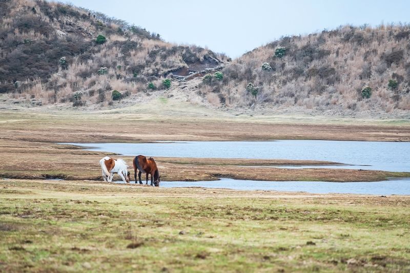 Kumamoto Train Experience Tour | Minami Aso Railway & Mount Aso Volcano & Kumamoto Castle One-Day Tour (Departing from Fukuoka) - Who should book this Kumamoto day trip?