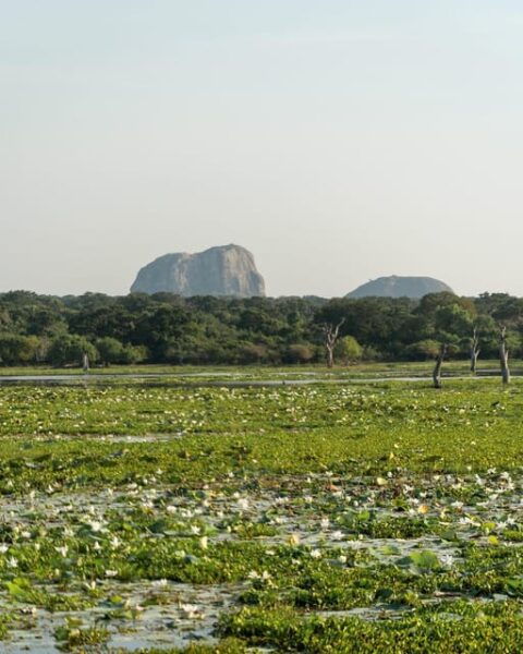 Kumana National Park : Full Day Safari (05:00 Am - 06:00 Pm) - What to Bring