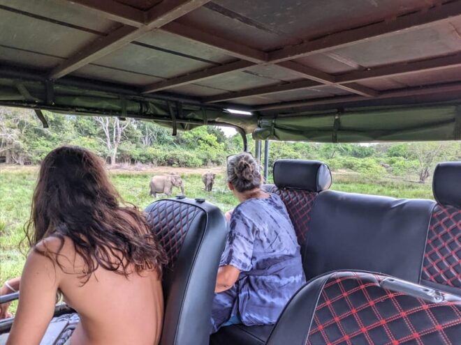 Kumana National Park : Morning Afternoon Safari ( 6 H ) - Transportation Options