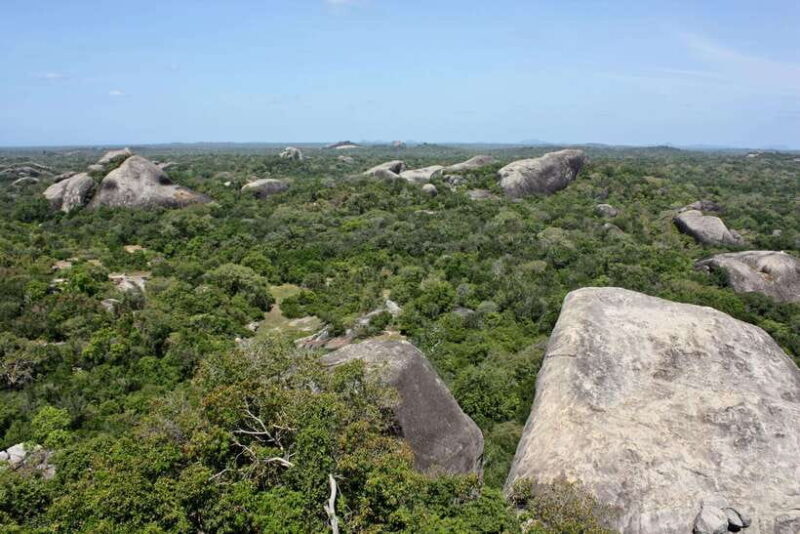 Kumana National Park : Morning or Afternoon Safari Tour - Who Is This Safari Perfect For?