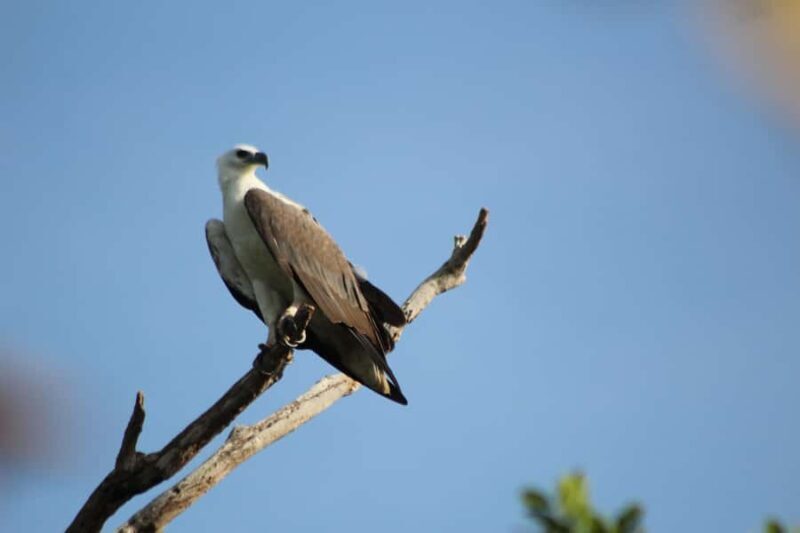 Kumana National Park: Private Birdwatching Safari Tour - Frequently Asked Questions