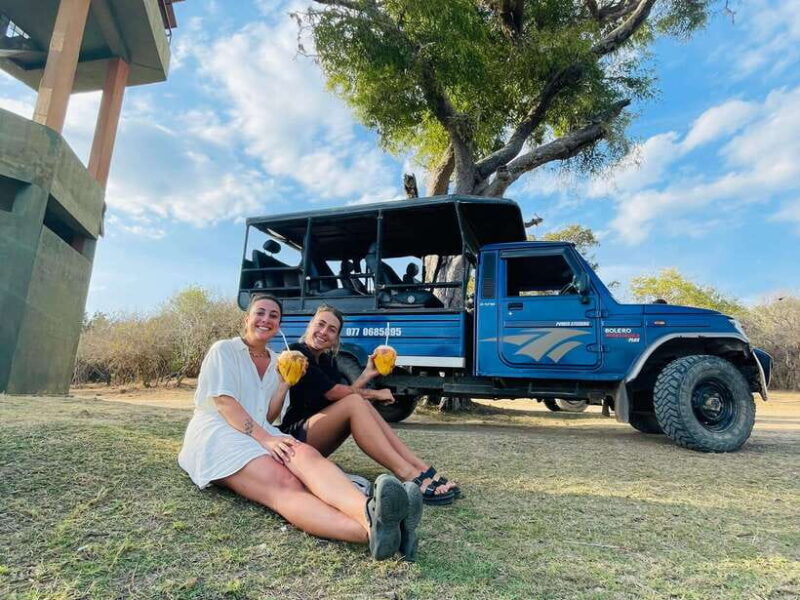 Kumana National Park : Private Half-Day Jeep Safari - Overview of the Safari Experience