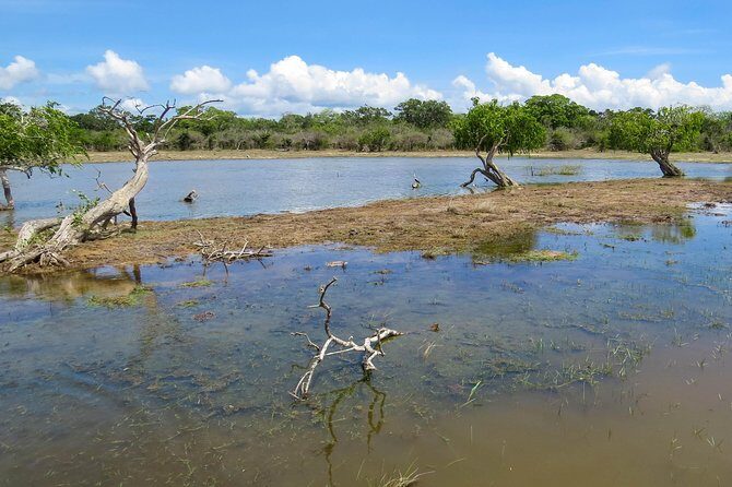 Kumana National Park Private Safari - Final Thoughts