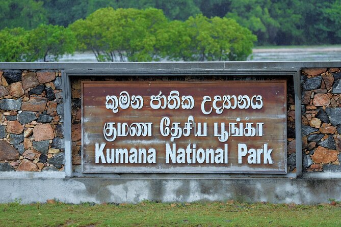 Kumana National Park Safari From Arugam Bay - Meeting and Pickup