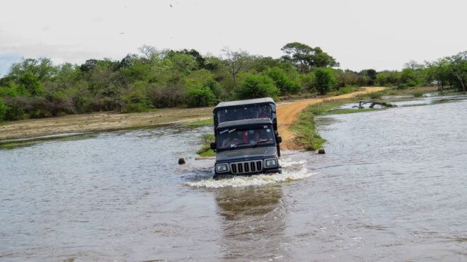 Kumana: Private 3-Hour Kumana National Park Safari - Bird Watching Opportunities