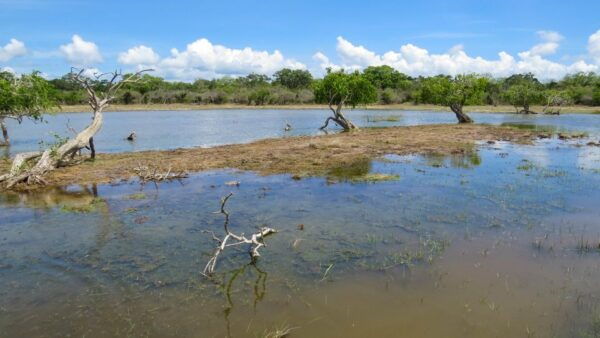 Kumana: Private 3-Hour Kumana National Park Safari - Directions
