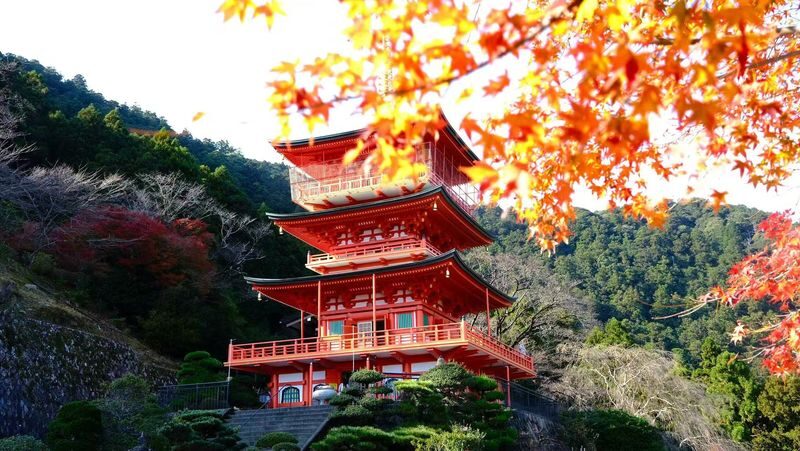 Kumano Kodo 2-Day World Heritage Hiking Tour - Guides who manage both stories and small problems