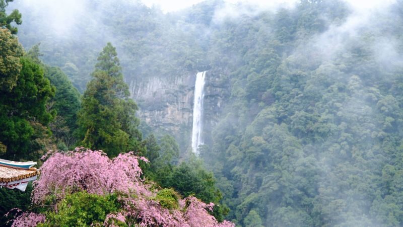 Kumano Kodo 2-Day World Heritage Hiking Tour - Who will enjoy this format most