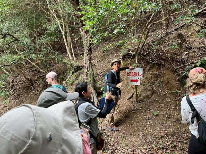 Kumano Kodo: Coastal Pilgrimage Tour with Hot Spring - Final Thoughts