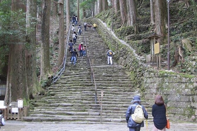 Kumano Kodo Half Day Daimonzaka and Nachi Taisha Tour - Common Questions