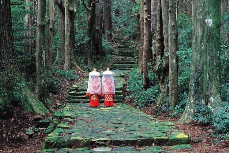 Kumano Kodo Hiking Day Tour from Osaka - Good To Know