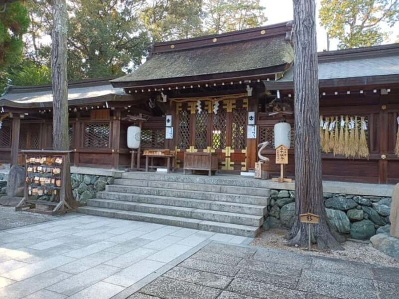 Kumano Kodo: Kiiji Pilgrimage Route Walking 7 Tours - What Makes This Tour Stand Out?