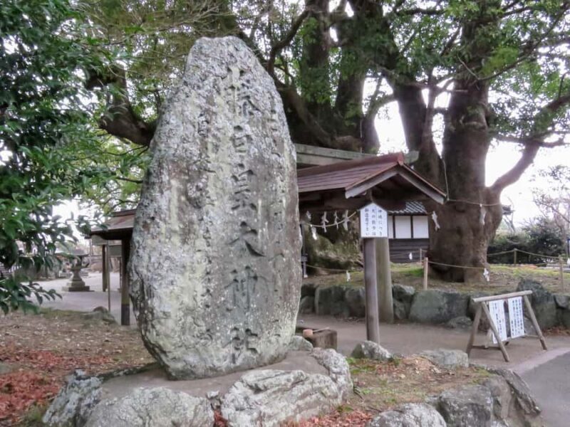 Kumano Kodo: Kiiji Pilgrimage Route Walking 7 Tours - Who Should Consider This Tour?
