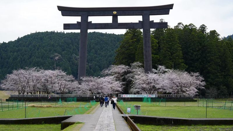 Kumano Kodo & Kumano Sanzan Full-Day Pilgrimage Tour - Visiting the Kumano Sanzan sights