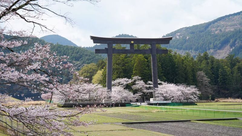 Kumano Kodo & Kumano Sanzan Full-Day Pilgrimage Tour - What the guides add