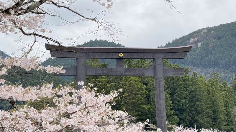 Kumano Kodo & Kumano Sanzan Full-Day Pilgrimage Tour - Is $113.75 good value?