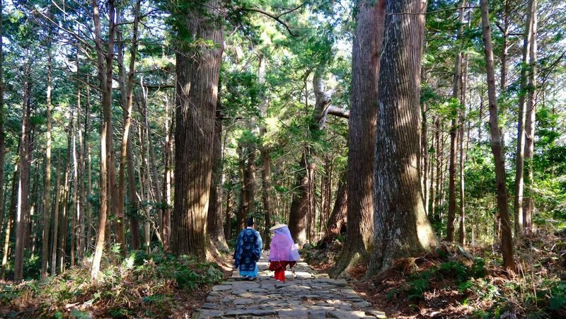 Kumano Kodo & Kumano Sanzan Full-Day Pilgrimage Tour - Practical details before you go
