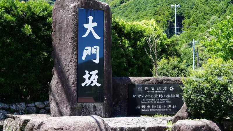Kumano Kodo & Kumano Sanzan Full-Day Pilgrimage Tour - Should you book it?