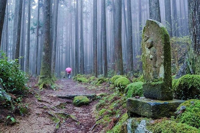 Kumano Kodo Pilgrimage Full-Day Private Trip With Government Licensed Guide - Important Information