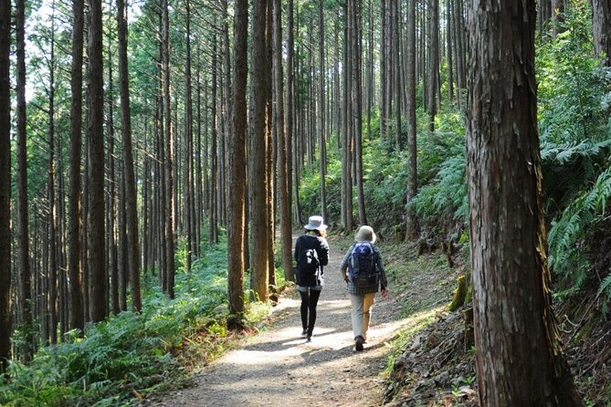 Kumano Kodo Pilgrimage Tour With Licensed Guide & Vehicle - Reviews and Questions