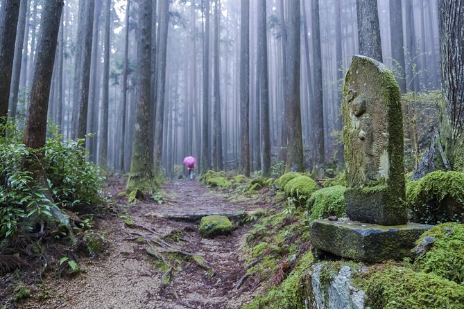 Kumano Kodo Pilgrimage Tour With Licensed Guide & Vehicle - Directions