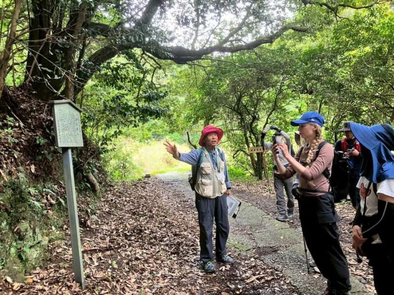 Kumano Kodo: Shishigase Pass Hike and Hot Spring Tour - Exploring the Kumano Kodo: Shishigase Pass Hike and Hot Spring Tour