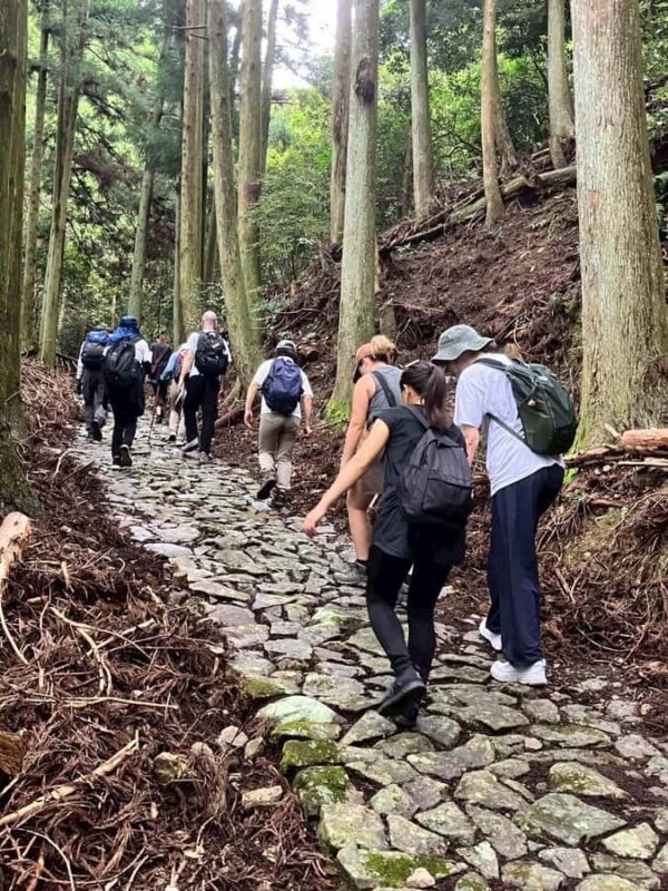 Kumano Kodo: Shishigase Pass Hike and Hot Spring Tour - Good To Know
