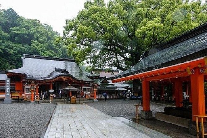 Kumanokodo 1 Day Walking Tour - Tour Highlights