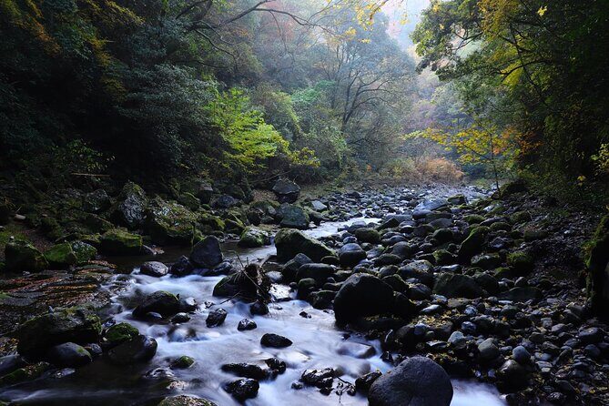 Kumanozu Shrine Takachiho Gorge and Amano Iwato Tour from Fukuoka - Final Thoughts