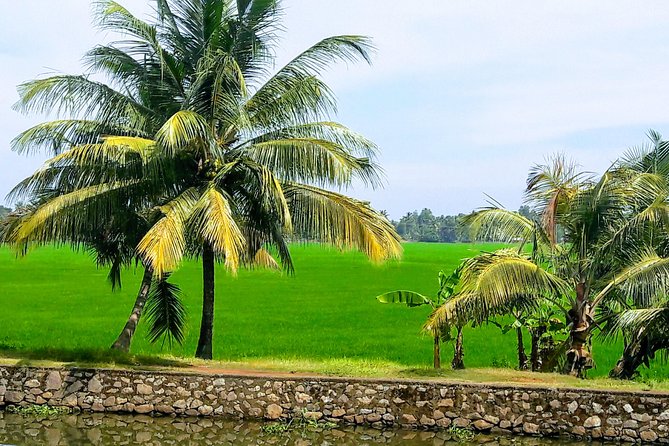 Kumarakom Backwater Excursion - Frequently Asked Questions