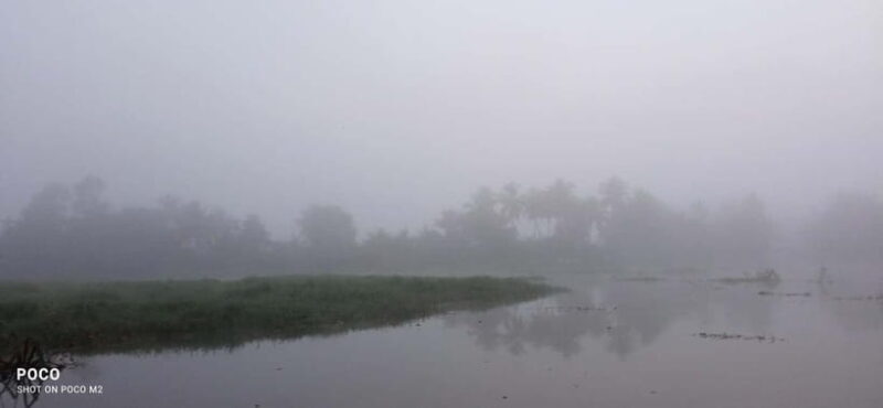 Kumarakom: Sunrise Cruise With Village Life and Local Food - Who Will Love This Tour?