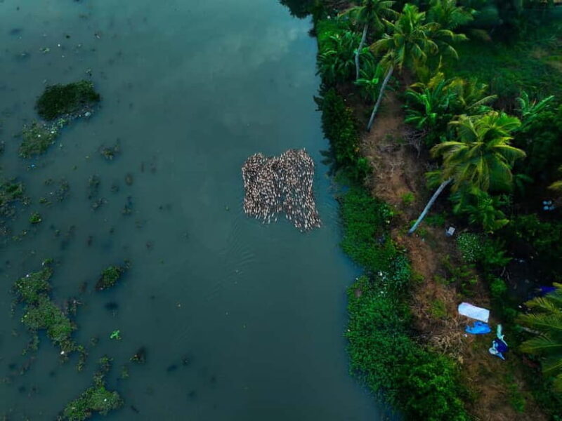 Kumarakom: Sunset Cruise with Village Life and Local Food - Final Thoughts