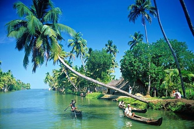 Kumbalangi Village Sightseeing Tour - Requirements and Restrictions