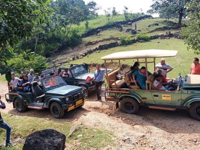 Kumbhalgarh Fort & Wildlife Sanctuary From Udaipur - Itinerary