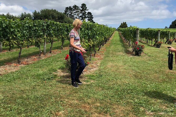 Kumeu Wine Tour - Start Time and Arrival Instructions