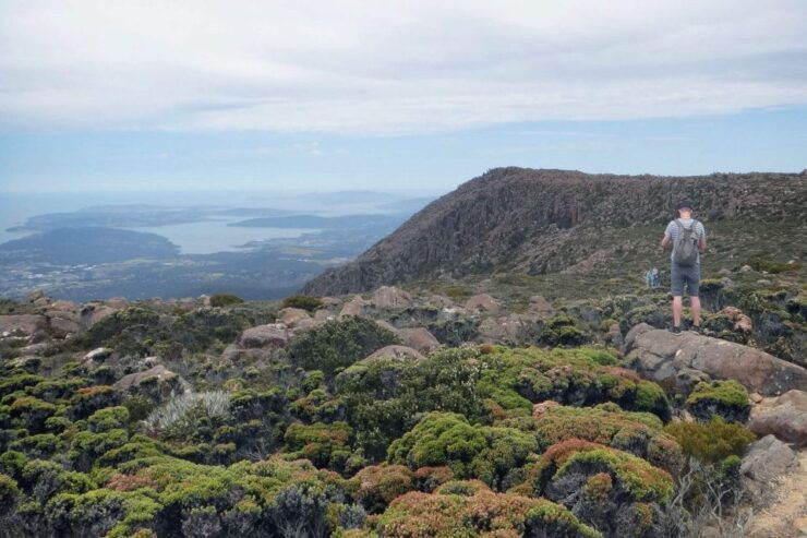 Kunanyi & Mt Wellington Explorer Bus: One-Way Bus Pass - Booking and Logistics
