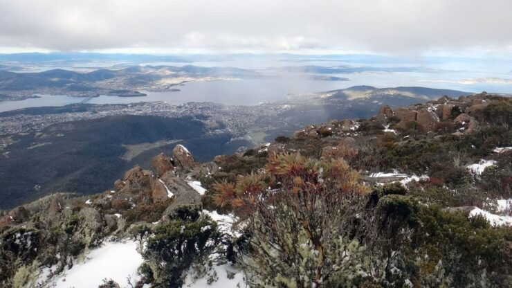 Kunanyi & Mt Wellington Explorer Bus: One-Way Bus Pass - Experience and Exploration