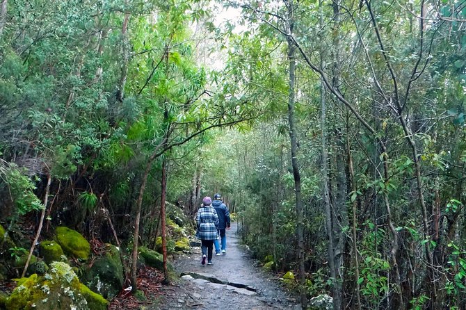 Kunanyi/Mt Wellington Explorer Bus - One Way Tour - Tour Details