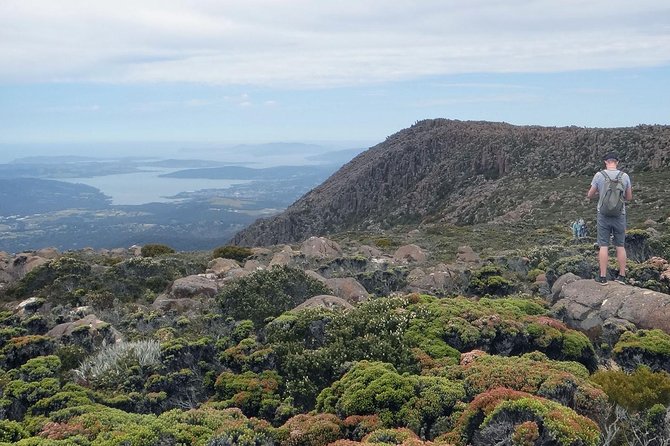 Kunanyi/Mt Wellington Explorer Bus - One Way Tour - Changes Policy